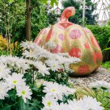 Kusama's starry pumpkin with yellow and pink mosiac tiles, with white chrysthanthemums in the foreground