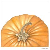 Photo: Ornamental Pumpkins in Watercolor