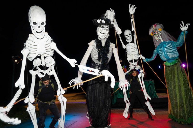 Larger-than-life white skeleton puppets, some in traditional Mexican clothing, move and dance after dark