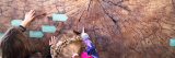 Two children point at tree rings on an enormous section of wood