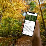 Hand holding a phone showing a view of crowded tall green trees in a forest, with the words of the Thain Family Forest and more text and icons for a map on the phone. The hand is over an image of yellow and green tall trees and a wooded pathway with a tree lined low fence in a forest.