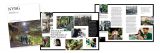 Multiple pages of the recent Fall winter issue of NYBG Garden News laid out overlapping each other for a graphic effect.