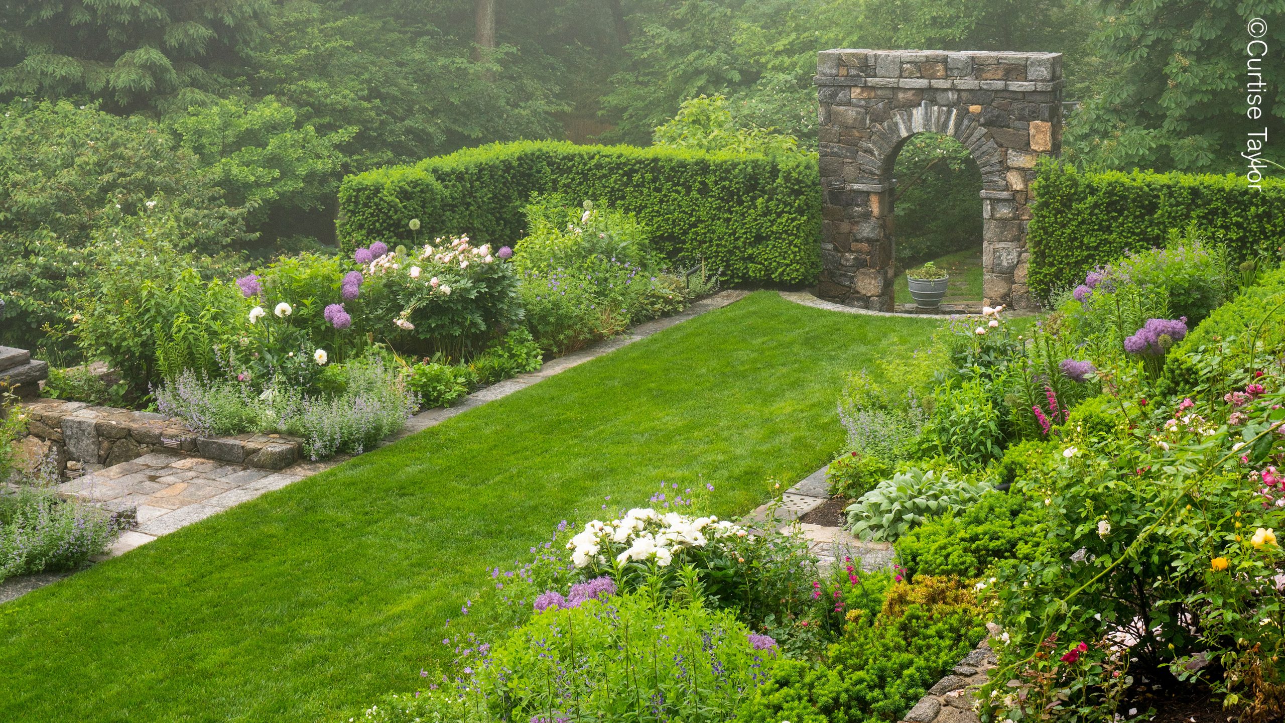 A gray stone archway bordered by tall green hedges frames a quiet private garden space, full of blooming alliums and flowering shrubs
