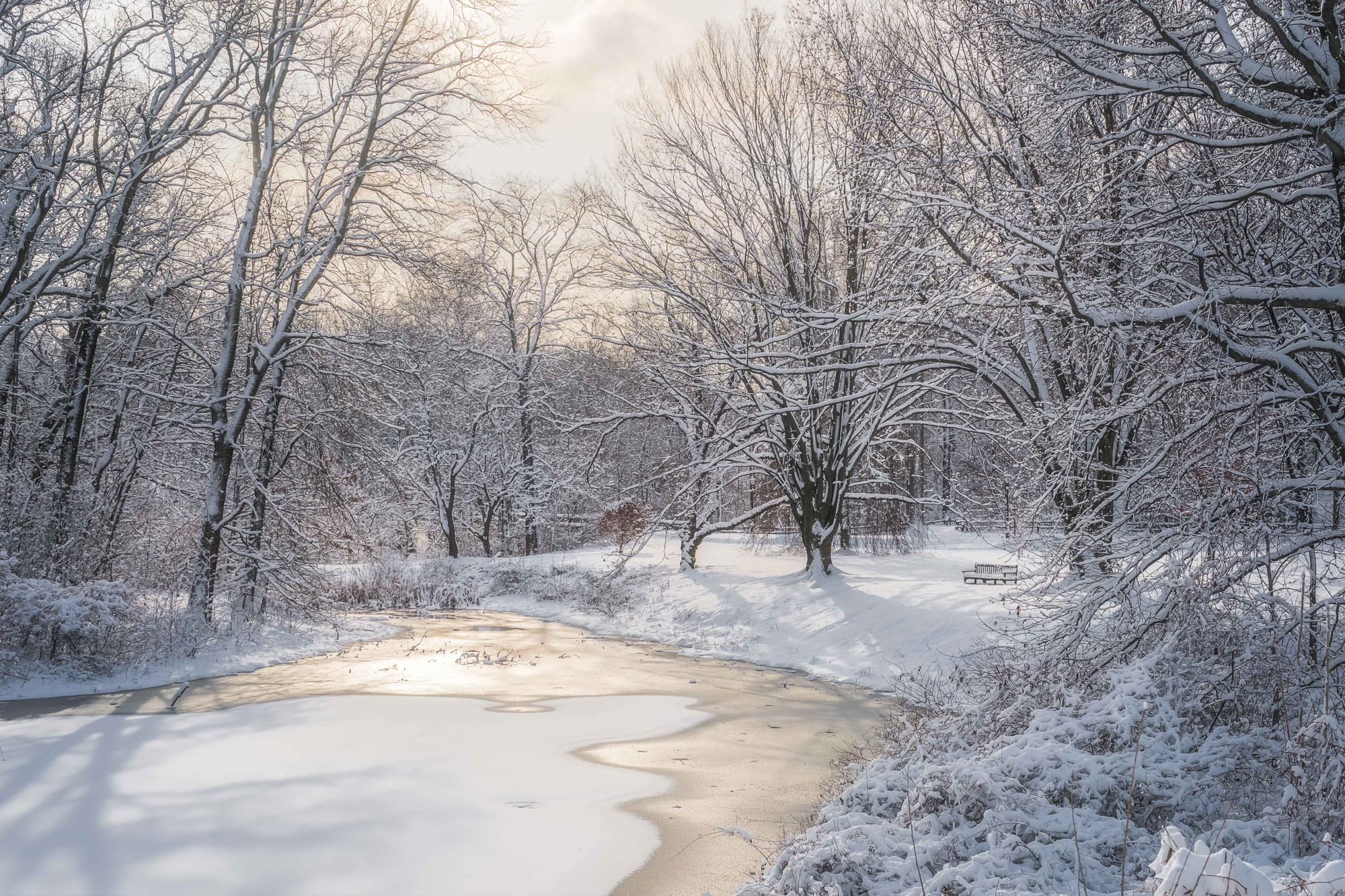 A bench looks out on a frozen lake in a snowy landscape