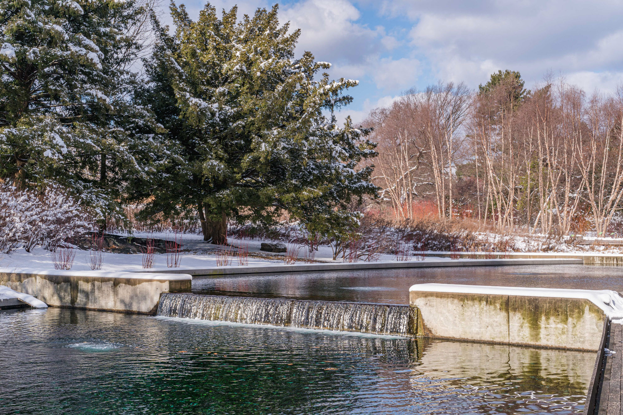 A water feature flows downward, surrounded by snow and icy trees