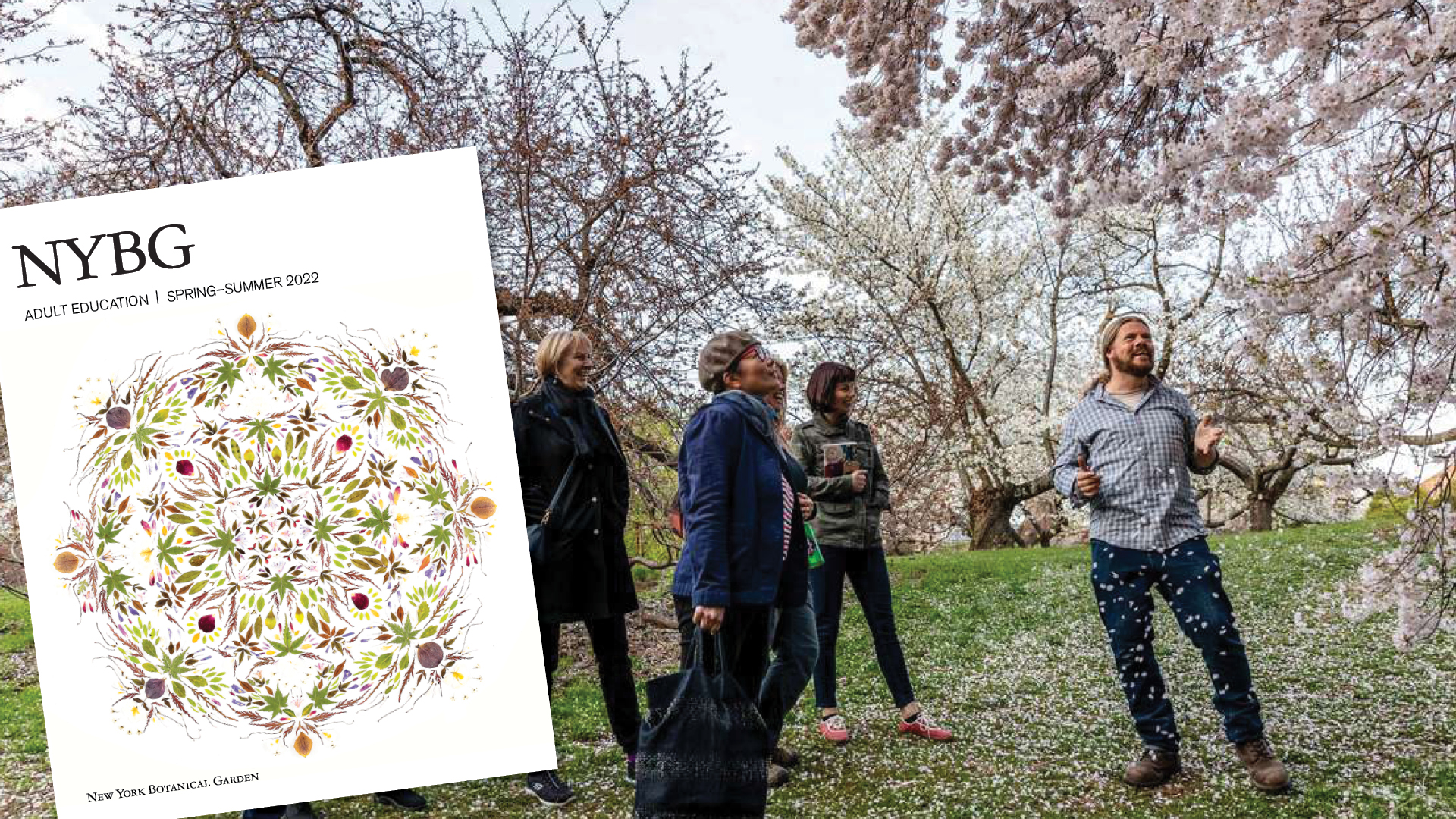 A class exploring the Magnolia Collection with pink petals fluttering around them