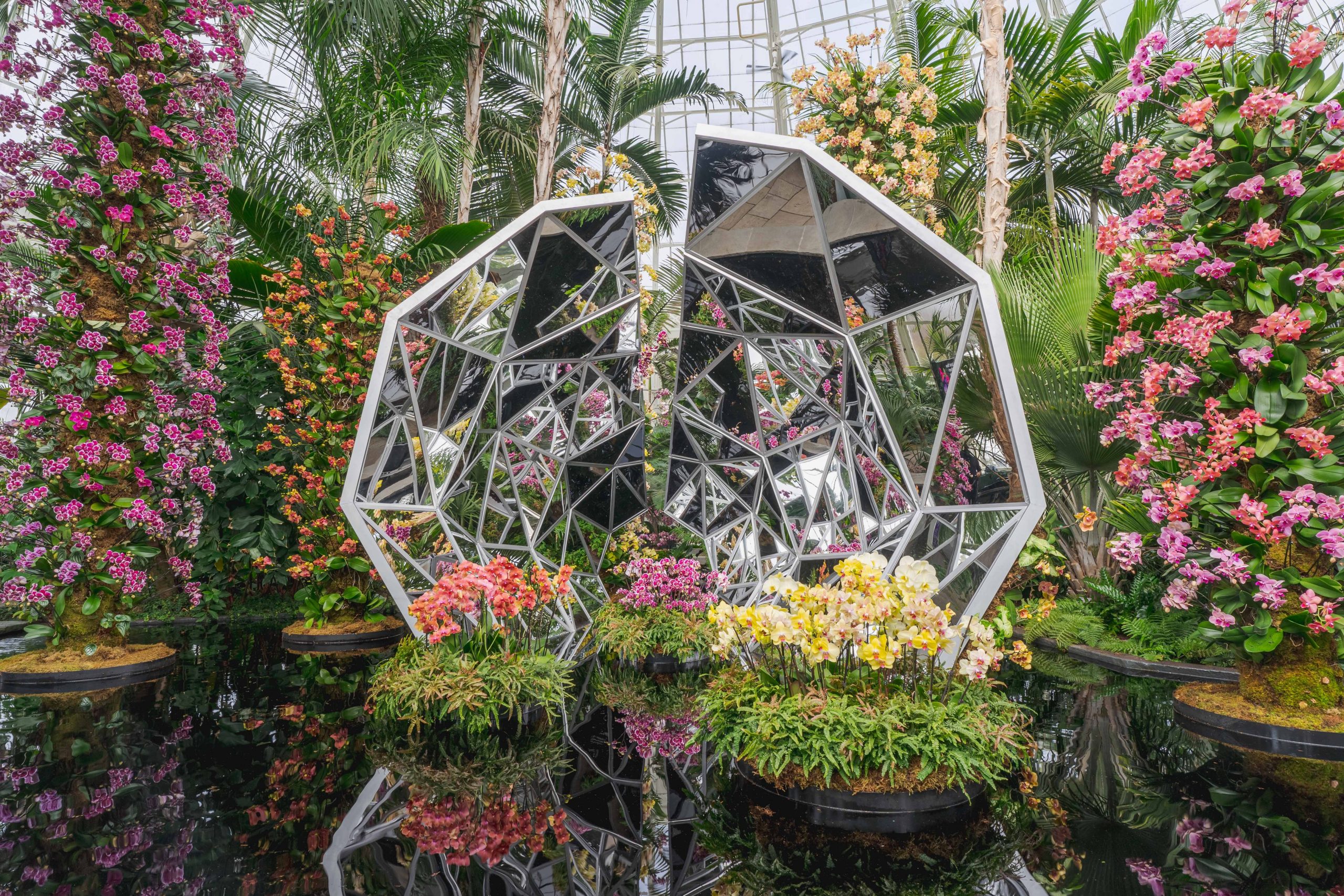 The Orchid Show Press Room » New York Botanical Garden