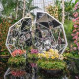 The Orchid Show: Jeff Leatham's Kaleidoscope