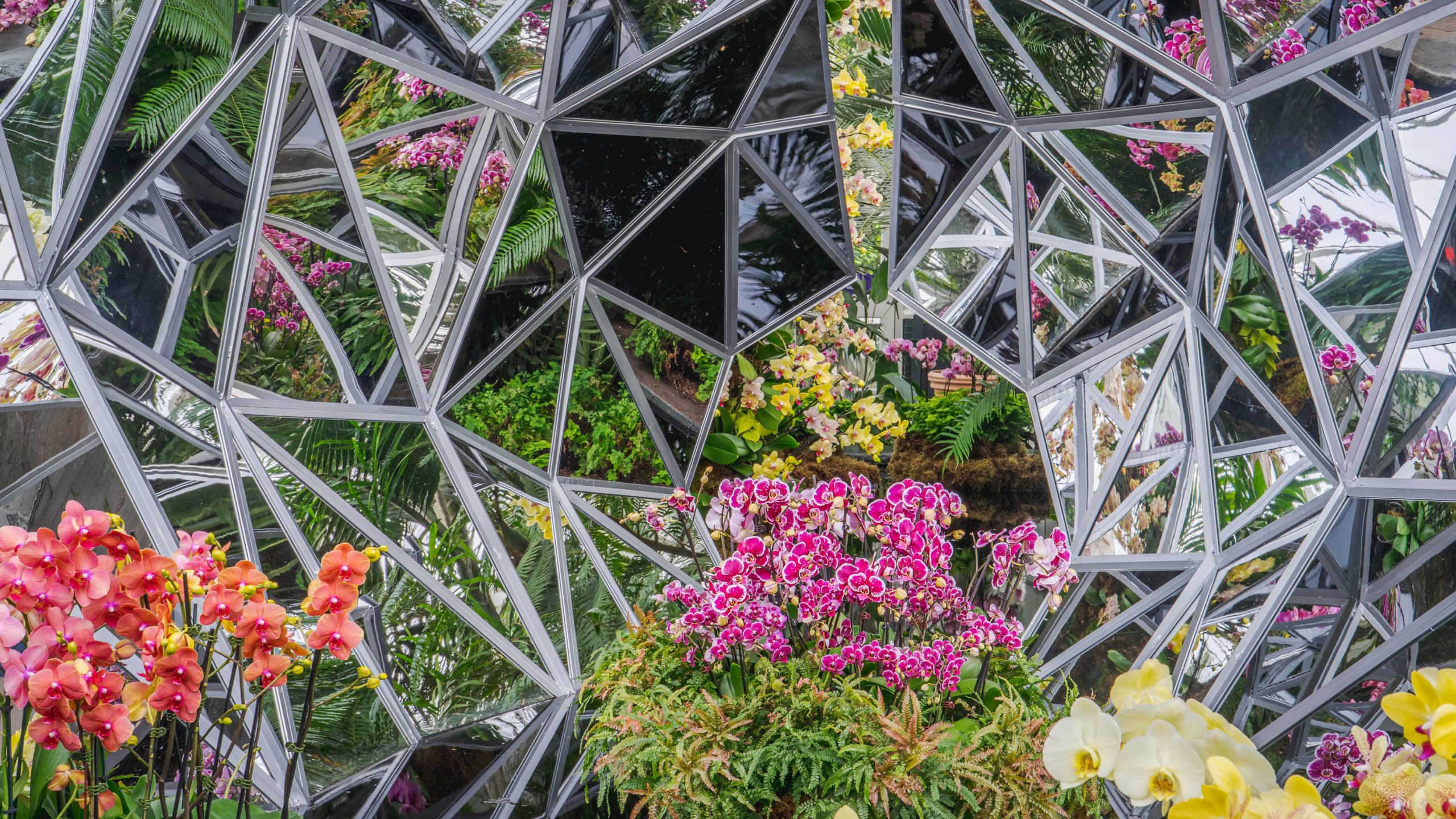 mirrors with pink and yellow orchids