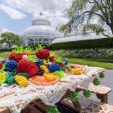 Crocheted art on a table in front of a conservatory by Ruth Marshal.