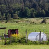 A farm with greenhouse and red shed on it