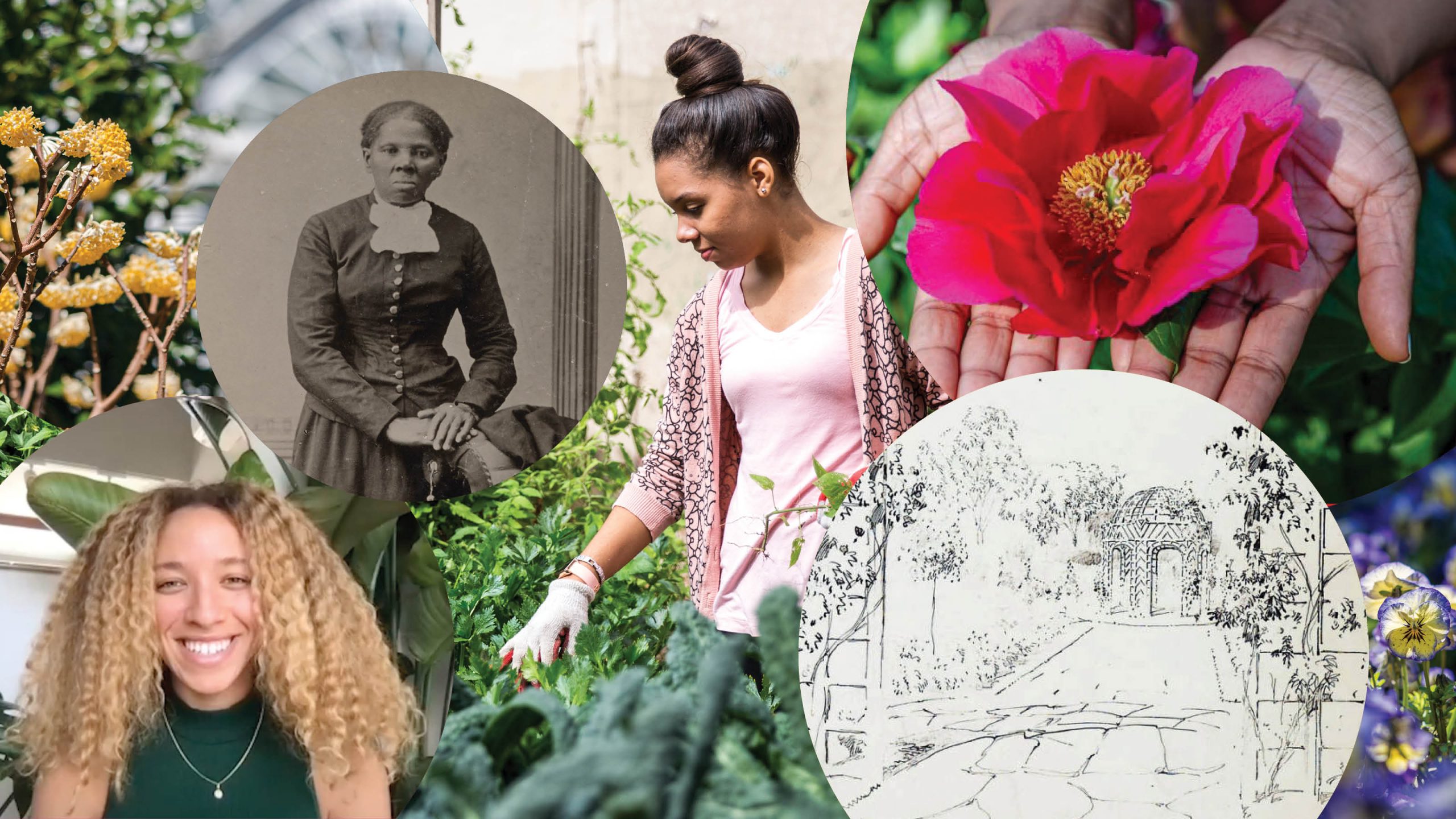 Collage of women smiling and doing various gardening activities, with purple and pink flowers in circles.
