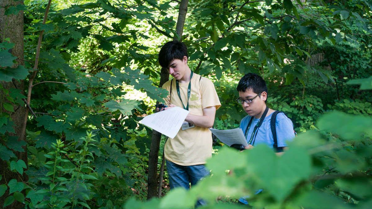 Two young people learning in the forest.