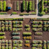 Planting beds