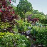 A lush gardenscape of green foliage, red maple leaves, yellow and white flowers, and a flowing creek lies in the foreground, while trees frame a small brick and wood house in the background