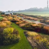 A path polka-dotted with small, mossy circles cuts through beds of grasses and shrubs, artfully arranged within a misty meadow environment