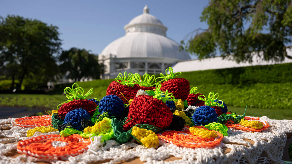 Crocheted art on a table in front of a conservatory by Ruth Marshal.