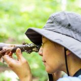 student uses a magnifying lens to view lichen up close on a log