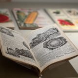 Black and white pages of a book are shown with an open book, showing an illustration of a cabbage, with the words Burppe, Phildelphia. The book is in a display case.