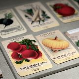 Close up of multiple vintage seed packets, showing here red raddishes, a yellow onion by the Huth Seed Co. Inc, San Antonio, Texas.