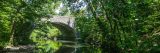 A view of the bronx river in the summer time.