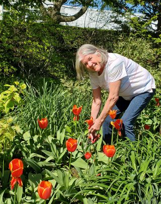 A woman in a white shirt and blue pants bends down to tend to bright orange flowers among green foliage