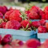 Red strawberries in baskets