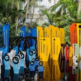 Multi-colored blue, yellow, and red tall sculptures reflecting in a black pool with tall palm fronds and palm trees behind.