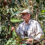 A man wears a tan hat and long sleeved shirt with binoculars around his neck and looks at a vine