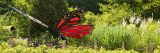 A large, sculpted metal butterfly in black and orange appears to fly above green foliage on a sunny day