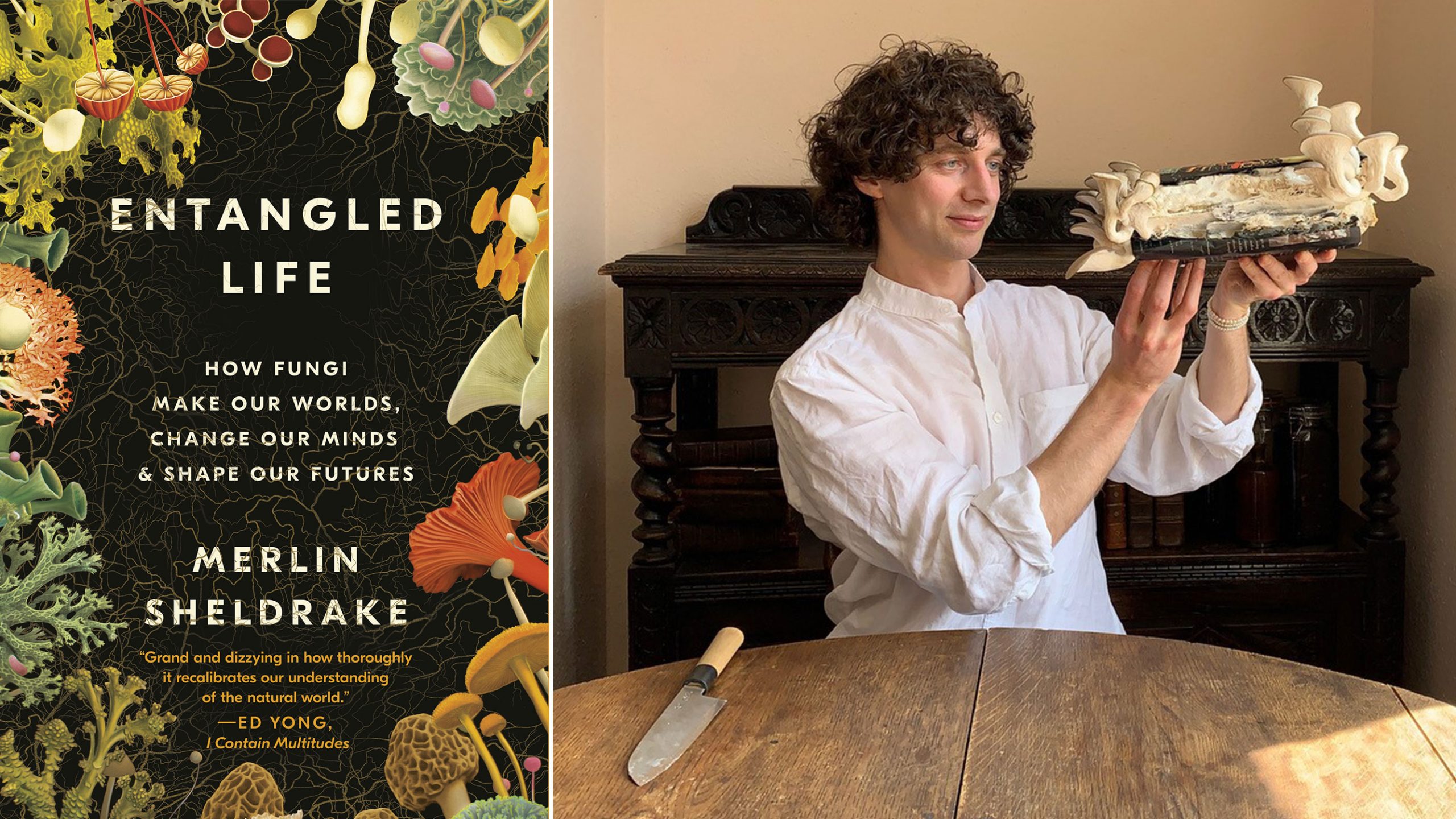 A person with short curly hair and a chefs apron sits at a table with a chefs knife and looks at a large mushroom
