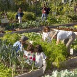 Children and families play in a lush vegetable garden