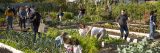 Children and families play in a lush vegetable garden on a sunny day