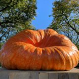 a giant pumpkin sitting on a wooden platform