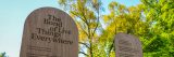 Wooden poetry boards sit alongside each other on a sunny day