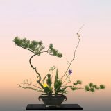 An ikebana arrangement using pine branches, one purple flower and one yellow flower