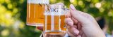 Two people raise beer mugs for a cheers, each one reading "NYBG"