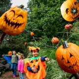 A child dressed as a pumpkin points as they walk down a green forest path surrounded by pumpkin-headed scarecrows