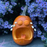 An orange pumpkin sits in front of purple flowers, carved to look like it's crying pumpkin seeds