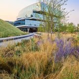 A naturally planted path leads up to a futuristic workspace at sunset