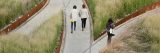 Three people explore the paths of a landscaped outdoor space, full of reeds and grasses