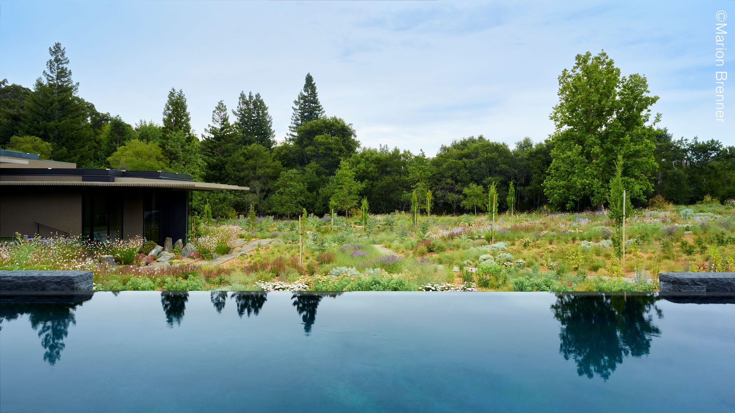 A grassy landscape with an infinity pool in the foreground and a brown building off to the left side