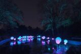 A collection of blue and purple spheres, lit from within, float just above a water feature at night