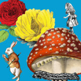 A collection of colorful illustrations of yellow flowers, red and white mushrooms, and a bright red rose, mingled with pictures from Alice's Adventures in Wonderland