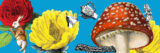 A collection of colorful illustrations of yellow flowers, red and white mushrooms, and a bright red rose, mingled with pictures from Alice's Adventures in Wonderland