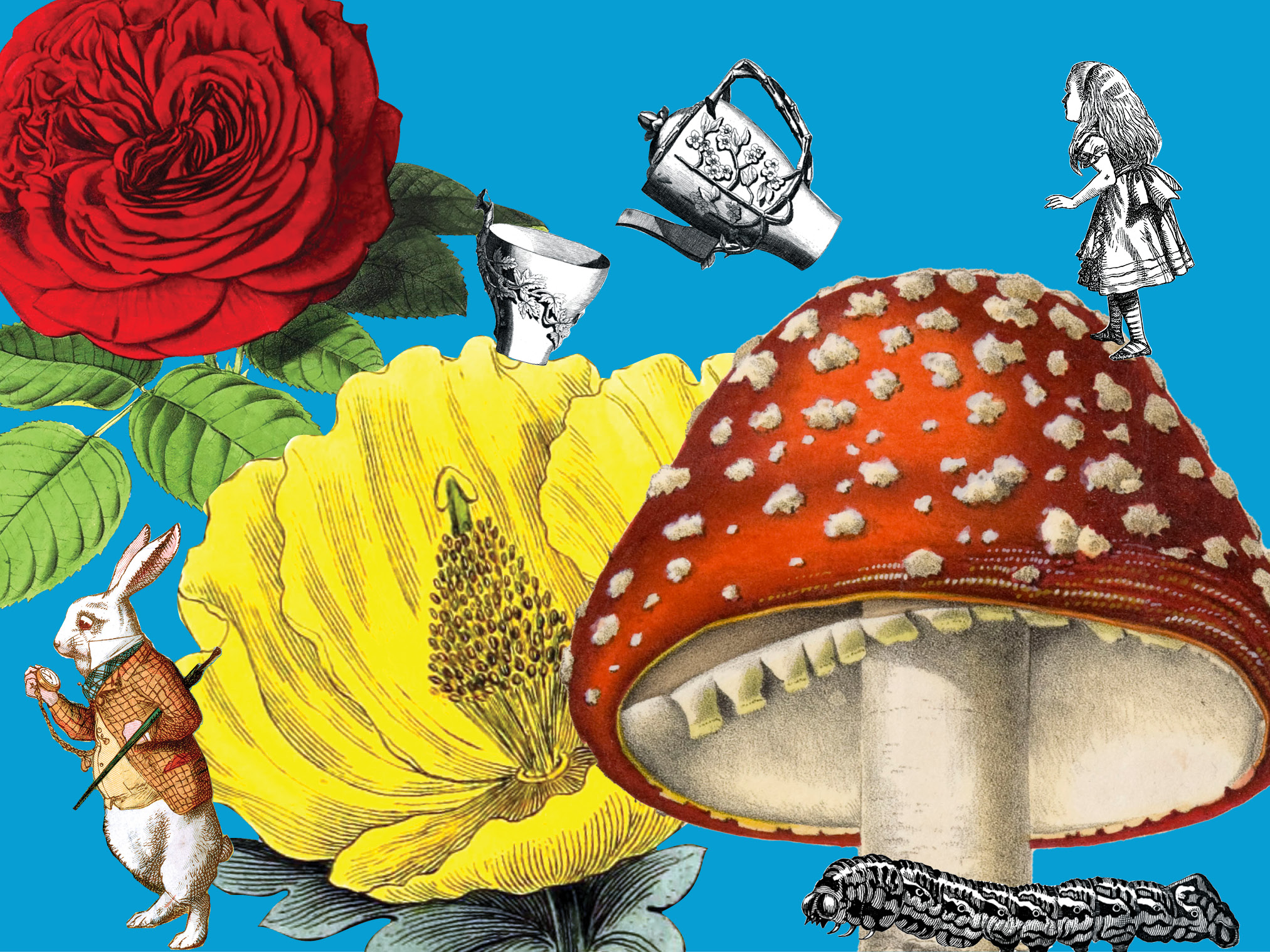 A collection of colorful illustrations of yellow flowers, red and white mushrooms, and a bright red rose, mingled with pictures from Alice's Adventures in Wonderland