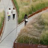 Three people explore the paths of a landscaped outdoor space, full of reeds and grasses