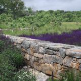 A low stone wall separates portions of a green outdoor landscape with purple flowers
