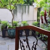 An enclosed lanai space full of tropical plants