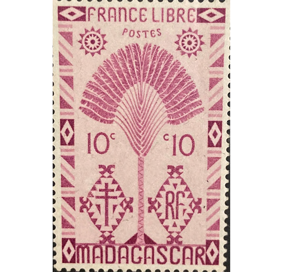 A pink stamp depicting a palm tree in its center